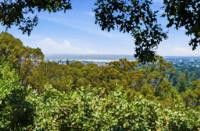 643 Vista Dr, Redwood City — 42