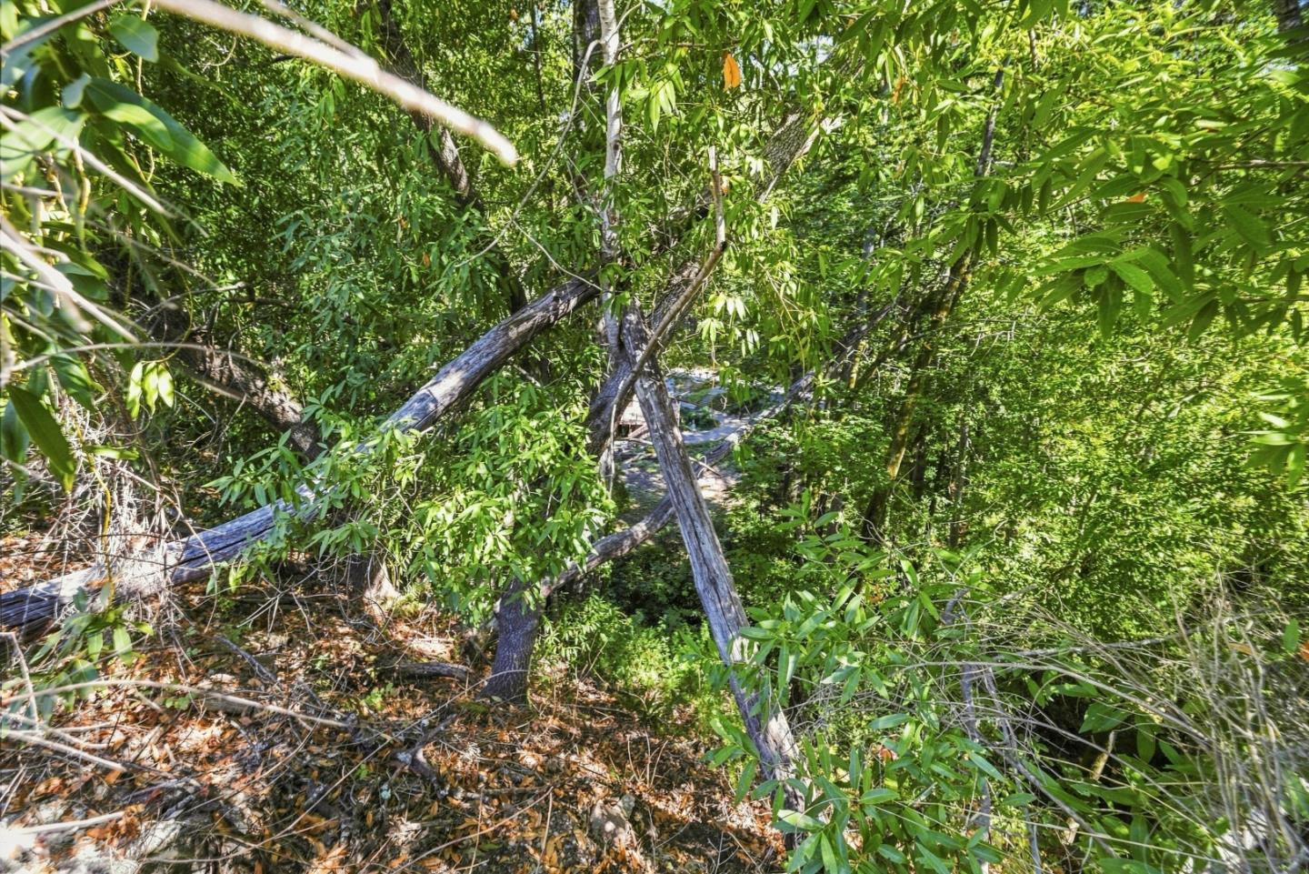 0 Zayante, Felton, CA 95018, Photo 3