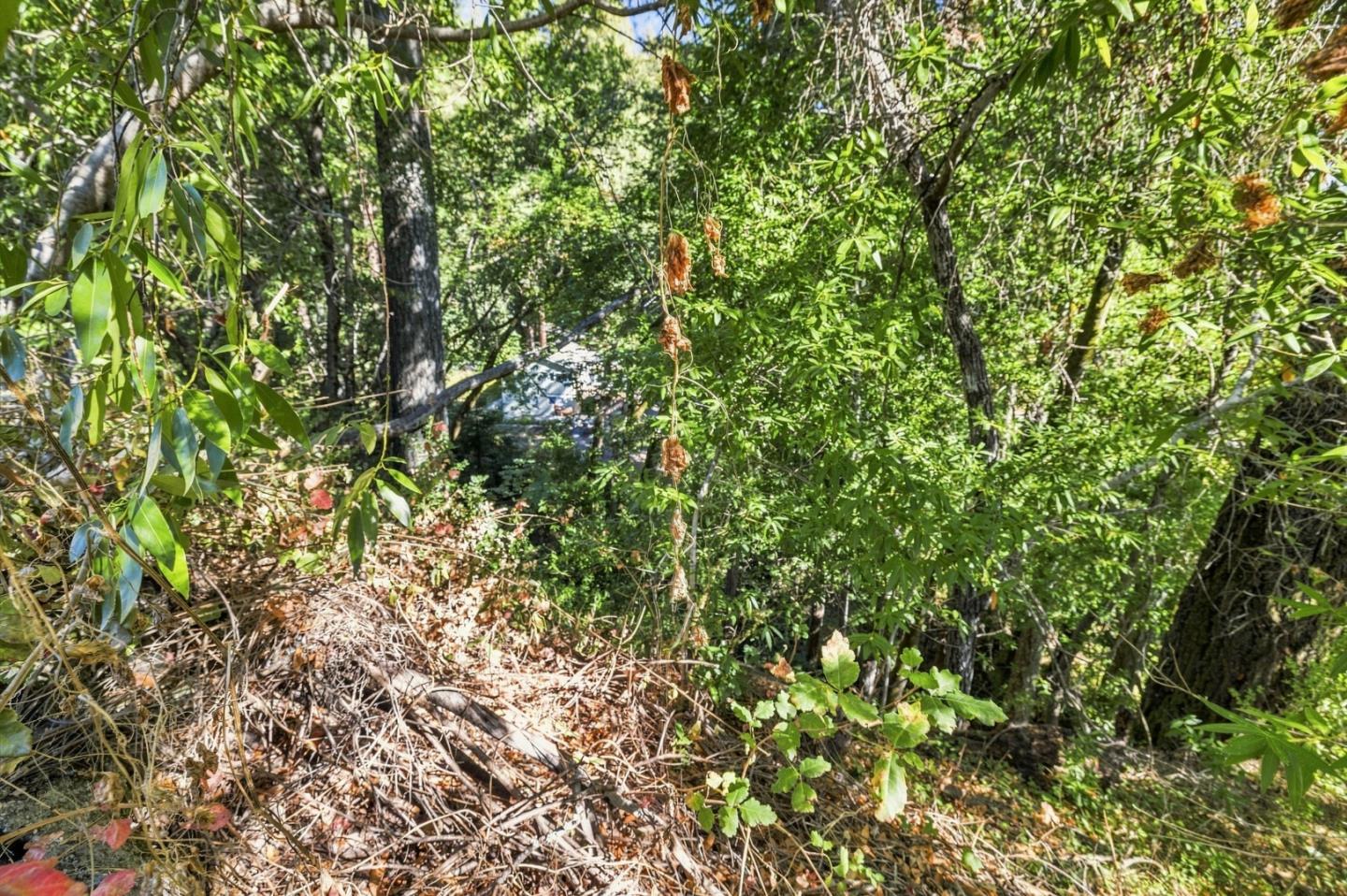 0 Zayante, Felton, CA 95018, Photo 4