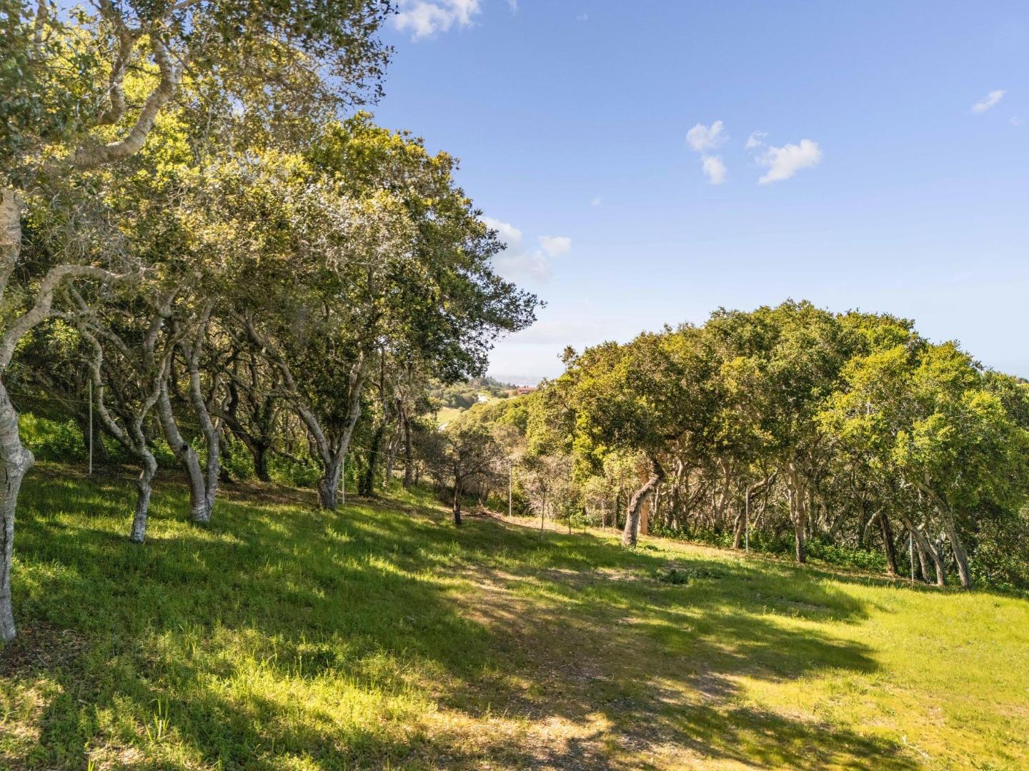 8350 Tres Paraiso (Lot 73), Carmel, CA 93923, Photo 6