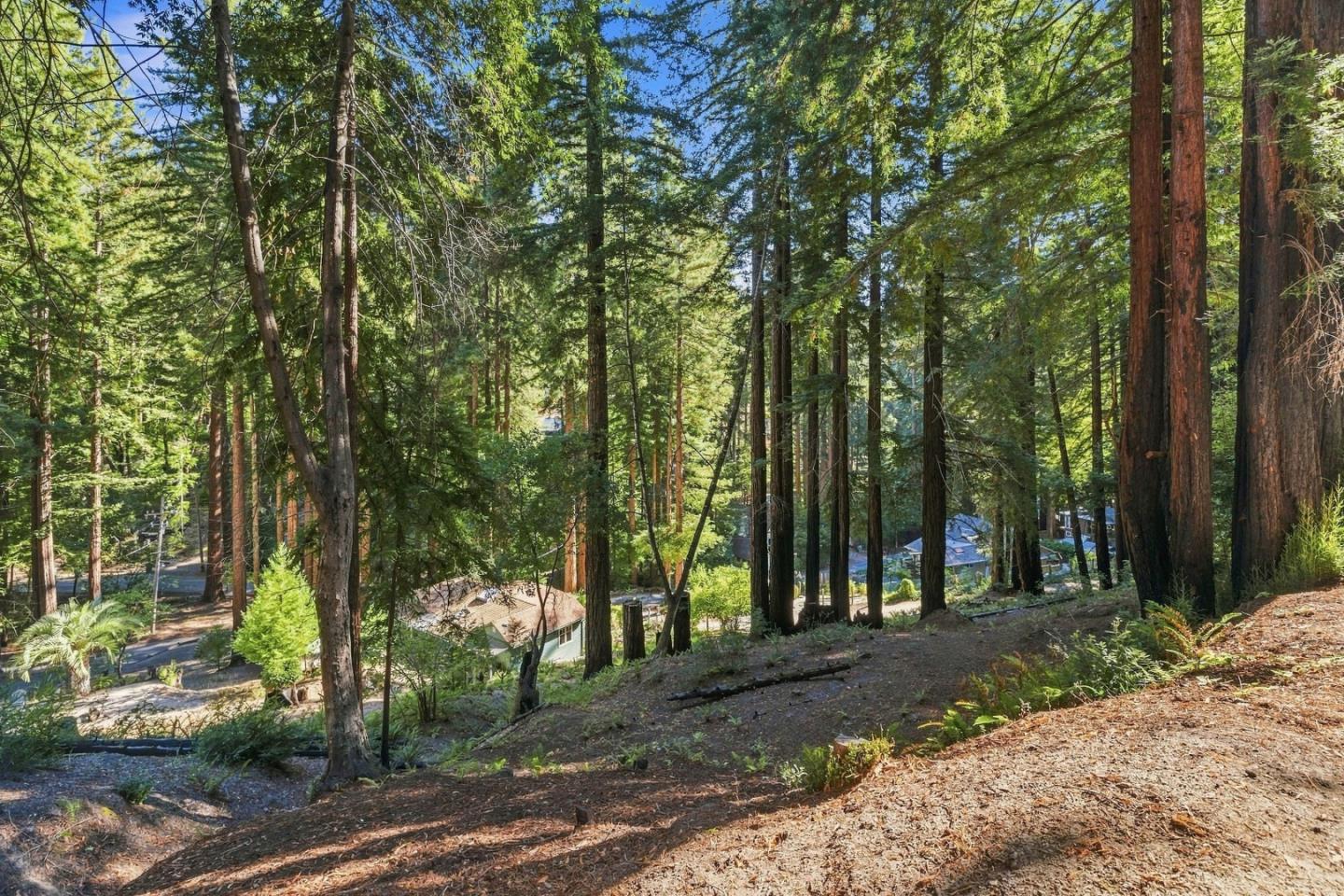 0 Stewart ST, BoulderCreek, CA 95006, Photo 2