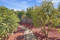 382 E Duane Ave, Sunnyvale — 29