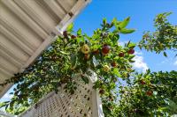 2150 Monterey Rd #101, San Jose — 32