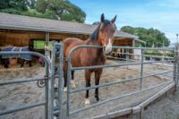 7531 Morevern Cir, San Jose — 40