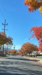1685 Clovis Ave, San Jose — 36