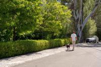 154 San Carlos Ave, Redwood City — 42