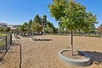 3312 Pyramid Way, Mountain View — 81