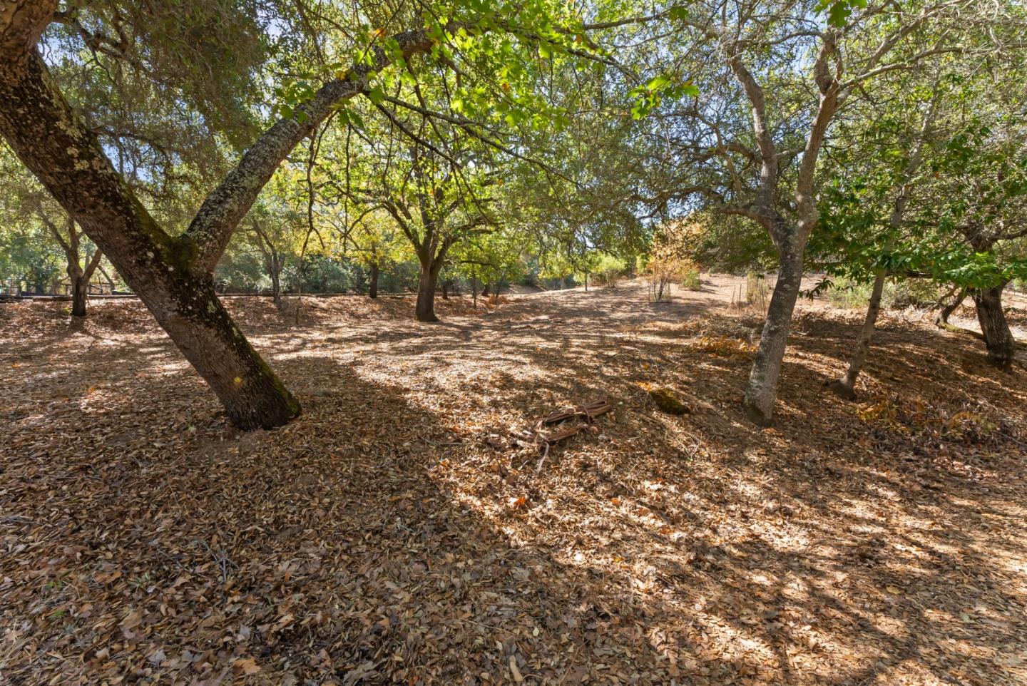 16099 Greenwood Rd, MonteSereno, CA 95030, Photo 6