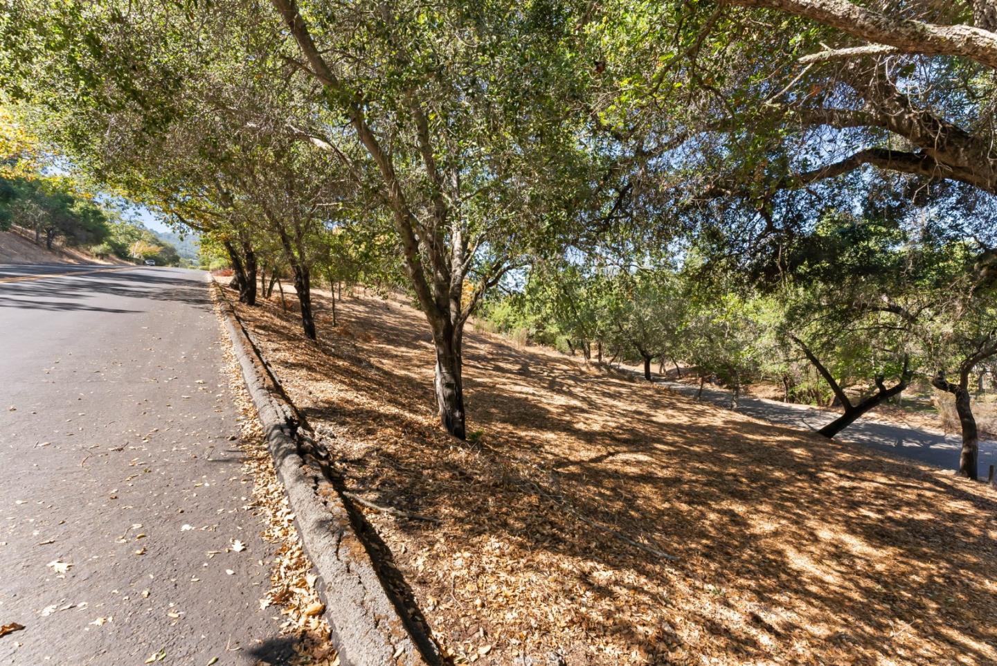 16099 Greenwood Rd, MonteSereno, CA 95030, Photo 7