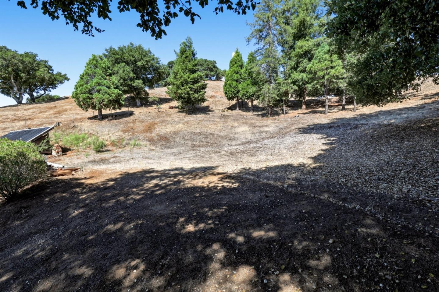 Photo 44