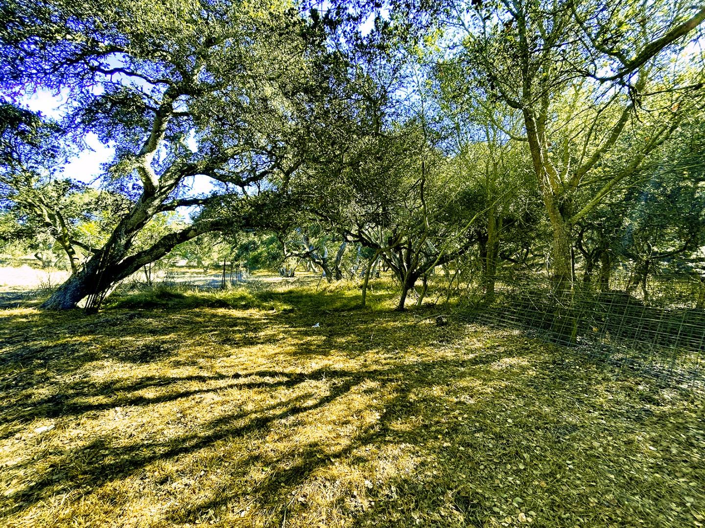 Address Filtered, Photo 4