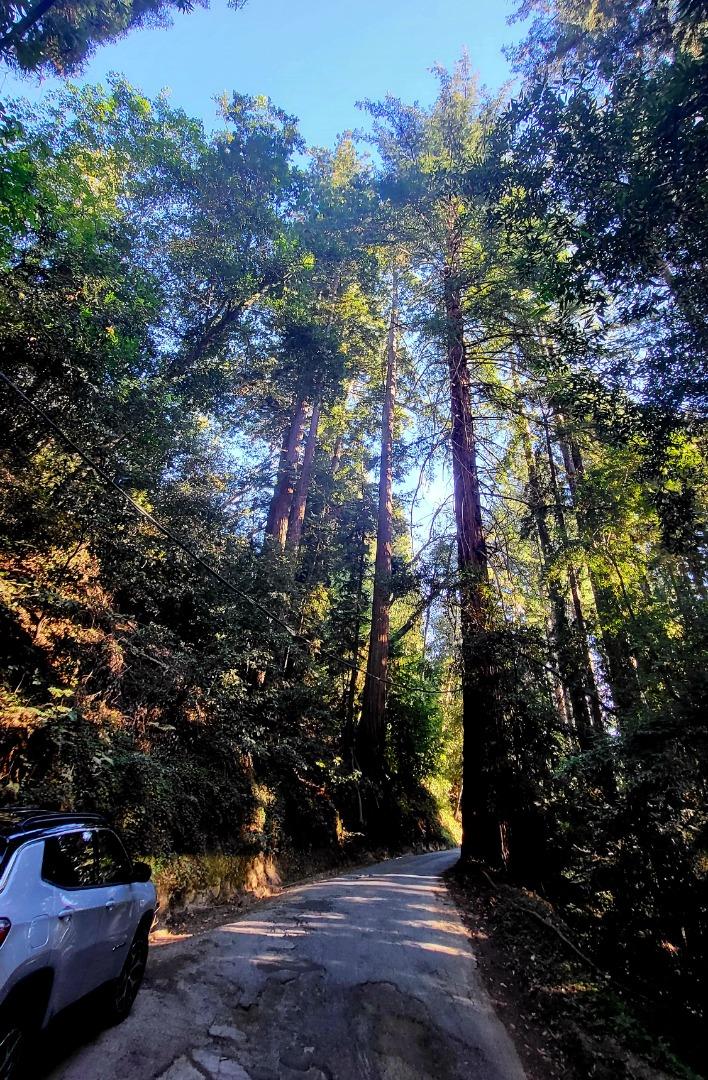 0 Redwood Lodge Rd, LosGatos_1, CA 95033, Photo 7