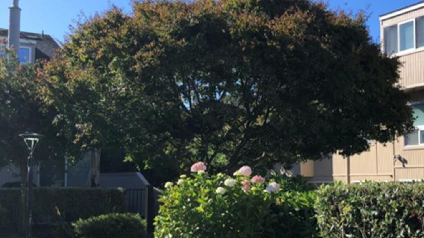1049 Via Tornasol, Aptos, CA 95003, Photo 5