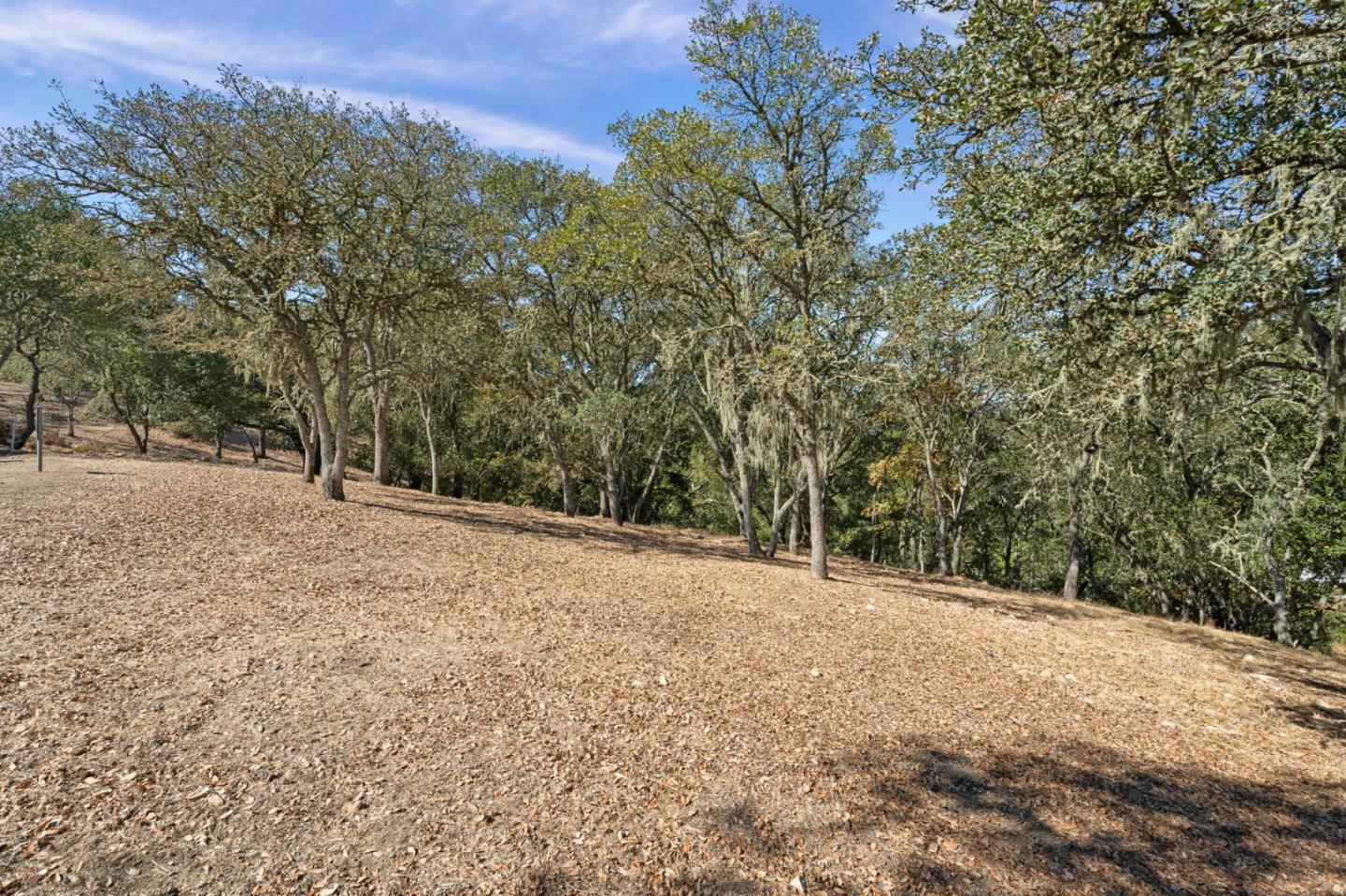 8351 Winter Green Ct, Gilroy, CA 95020, Photo 6