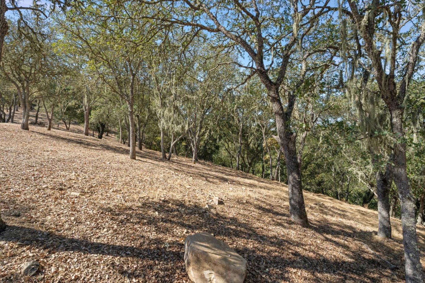 8351 Winter Green Ct, Gilroy, CA 95020, Photo 7