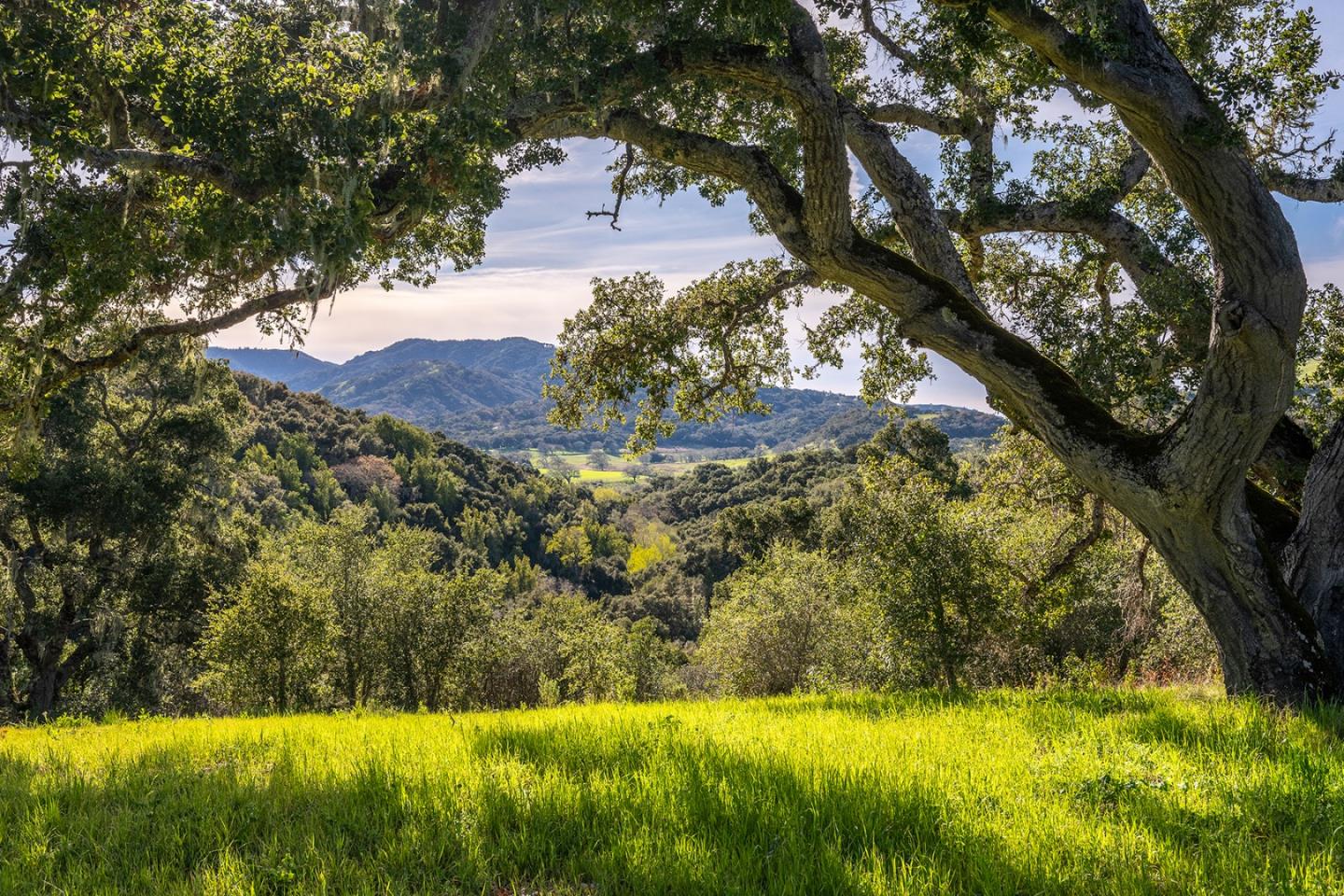 7 Vasquez Trail (Lot 172), Carmel 93923