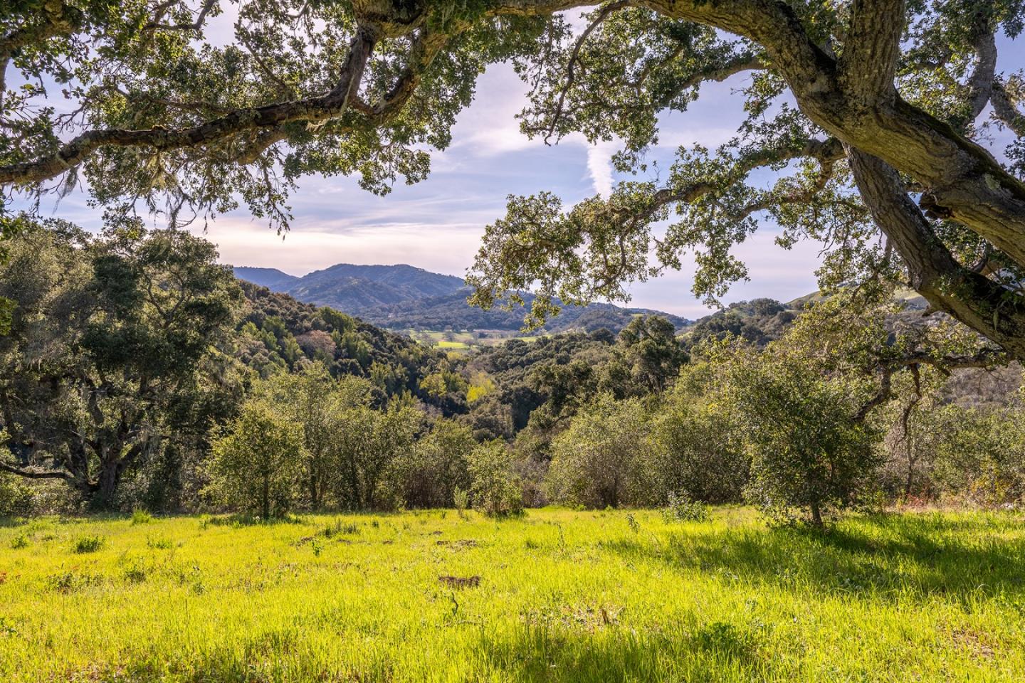 7 Vasquez Trail (Lot 172), Carmel, CA 93923, Photo 3