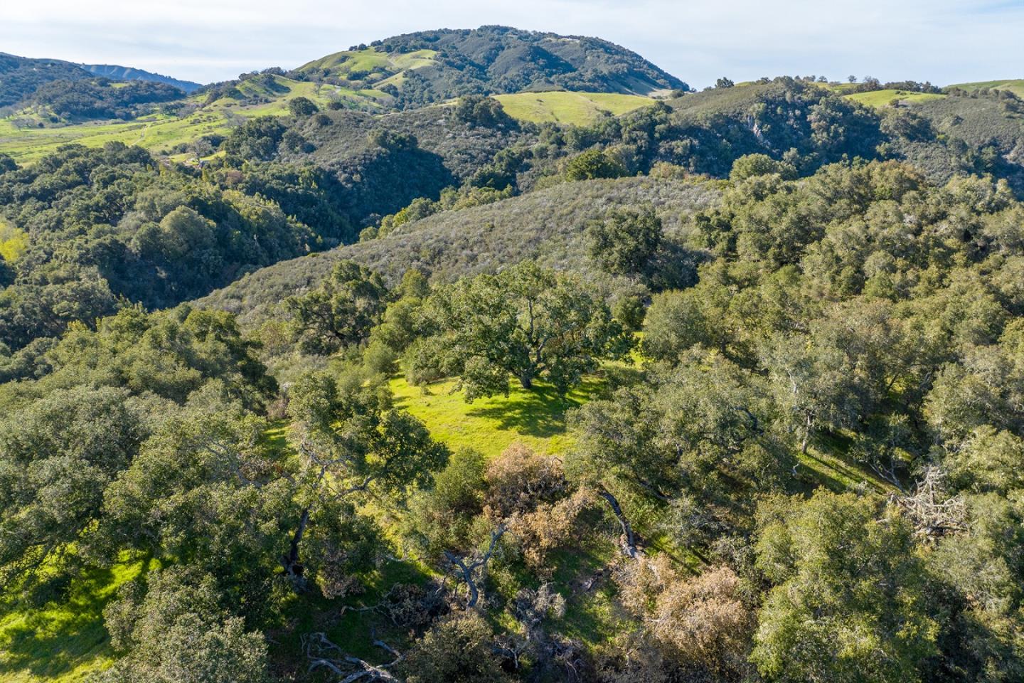 7 Vasquez Trail (Lot 172), Carmel, CA 93923, Photo 5