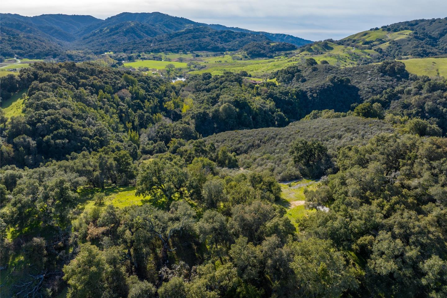 7 Vasquez Trail (Lot 172), Carmel, CA 93923, Photo 7