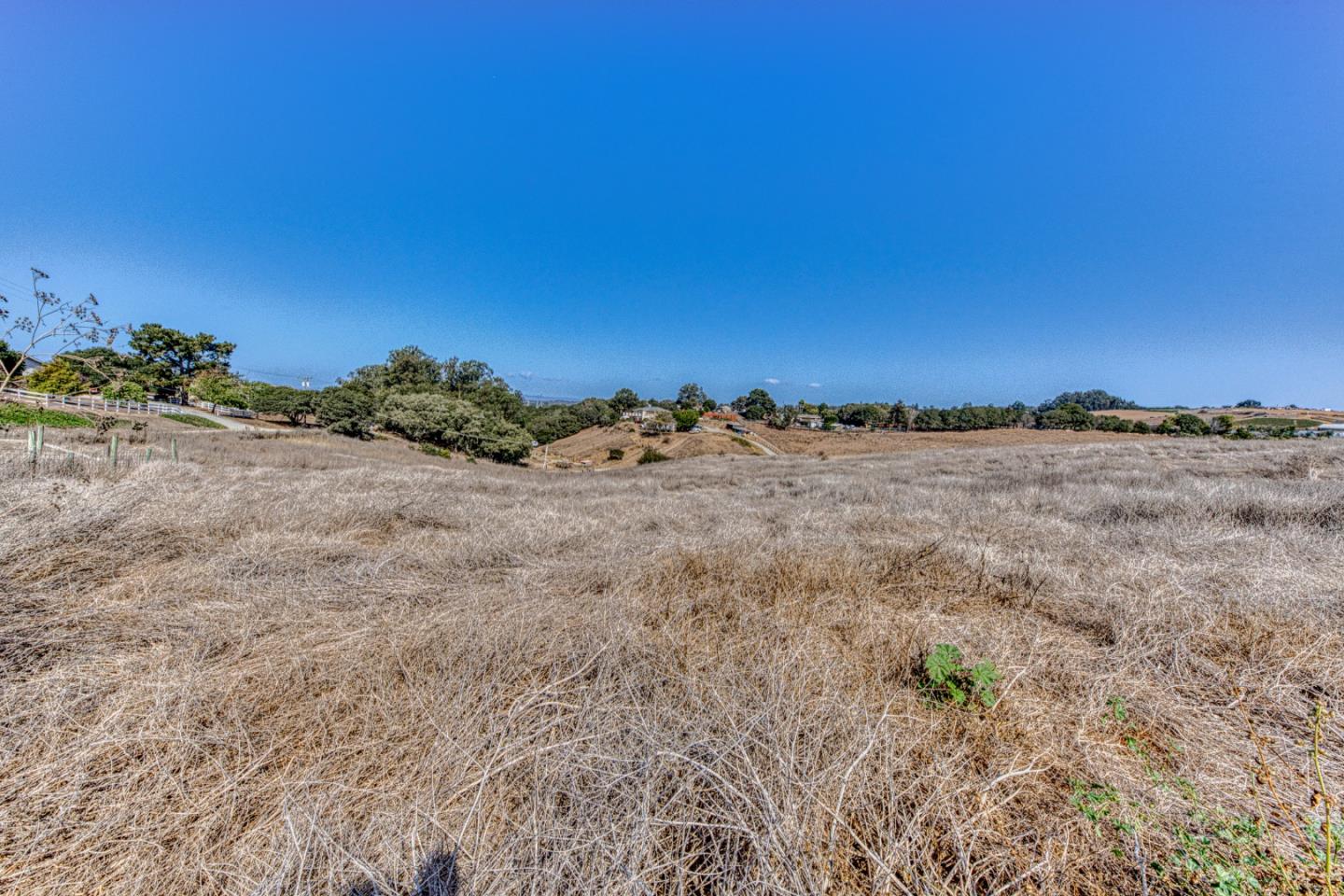 14355 Russo Rd, Castroville, CA 95012, Photo 7