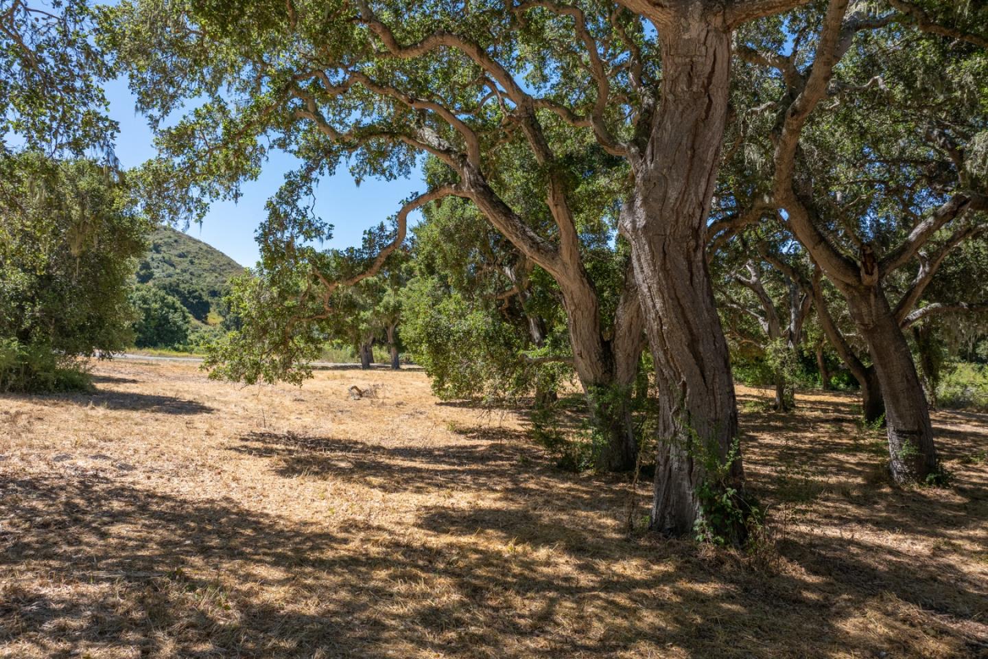 4 Goodrich Trail (Lot E13), Carmel, CA 93923, Photo 7