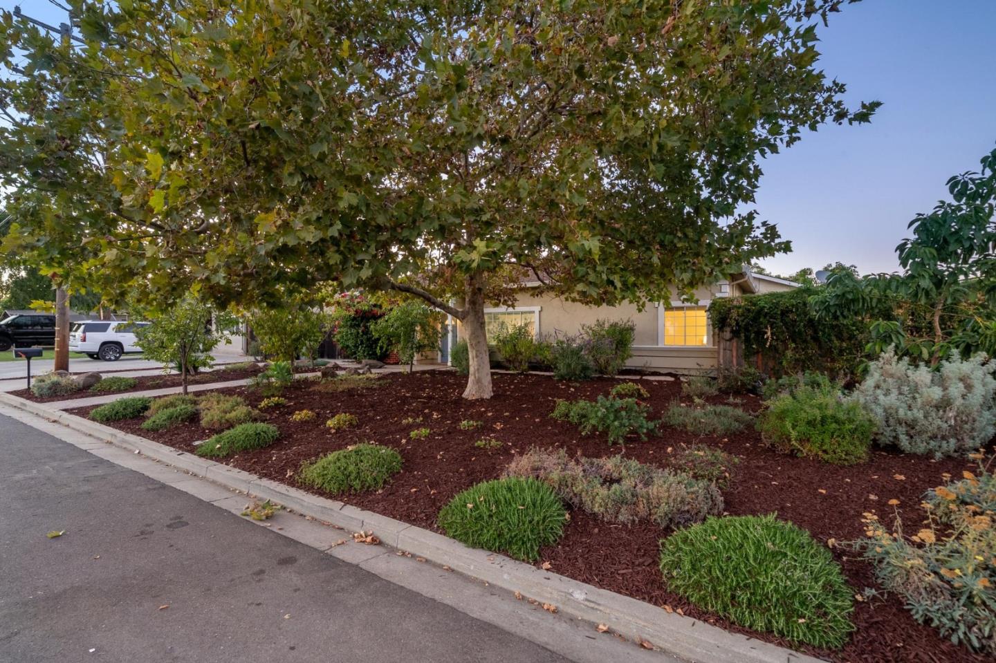 1021 Carola Ave, SanJose, CA 95130, Photo 3