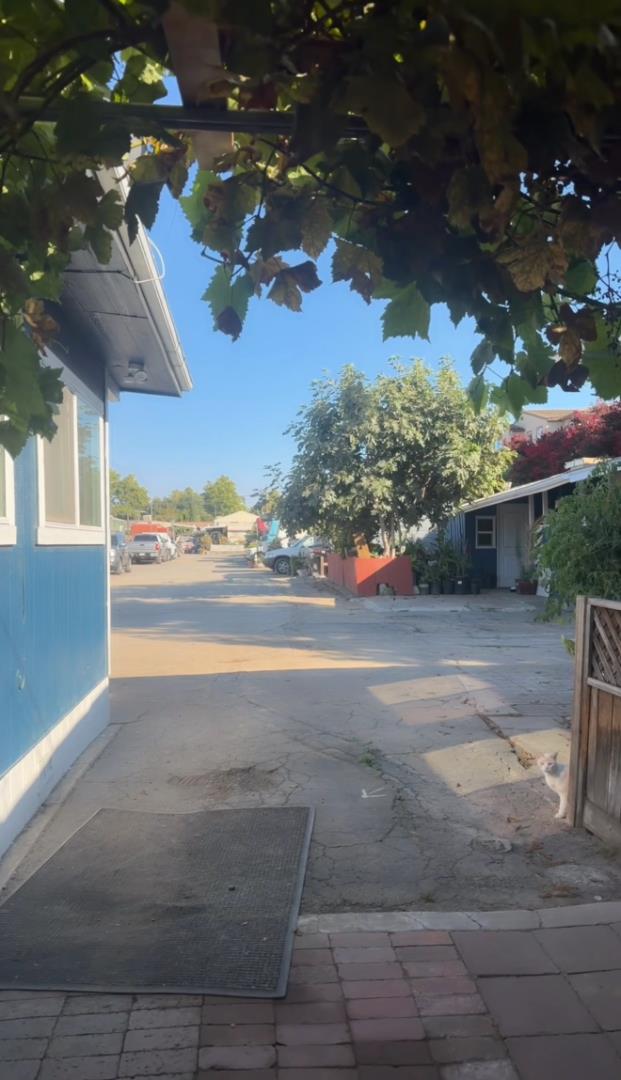527 Mclaughlin Ave 215, SanJose, CA 95116, Photo 3