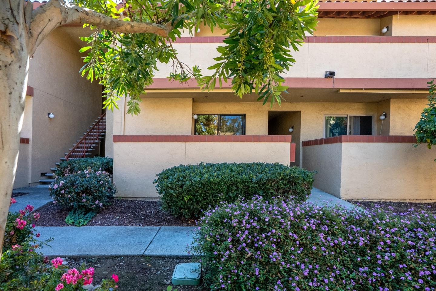 20736 Celeste Cir