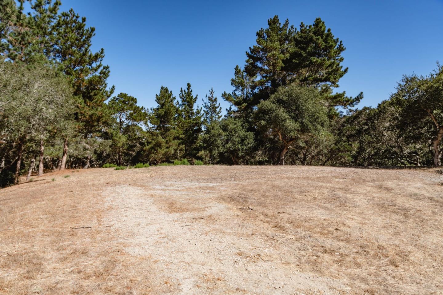 7715 Paseo Venado