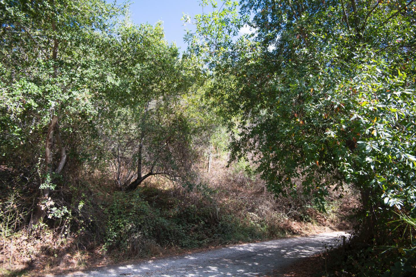 Front Image Thumbnail for ML82065866